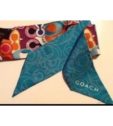Coach Poppy Pop C Signature Print Ponytail Scarf