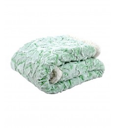 Green Embossed Plush Stroller Blanket