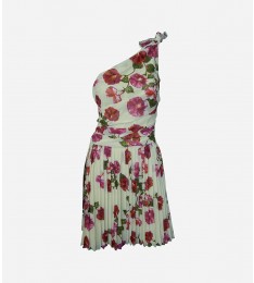 Cream & Red Floral One-Shoulder  Dress