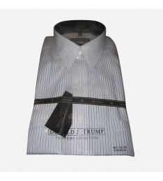 Blue & Grey Pin Stripe Silk Shirt
