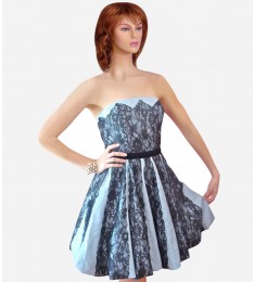 Strickly Ballroom Dress