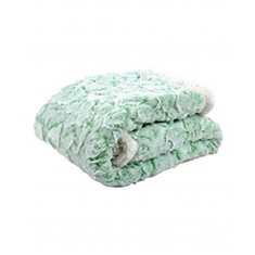 Green Embossed Plush Stroller Blanket