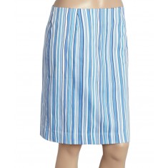 Blue Stripe Skirt