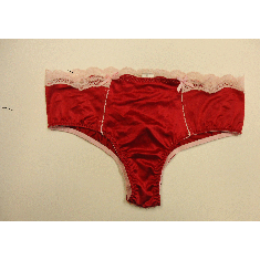 Red Lace Pantie