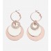 Clear Crystal Pierced Earring