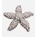 Silver Tone Starfish Brooch Pin-01.jpg
