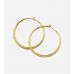 Crystal Detail Hoop Earring