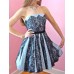 Strickly Ballroom Dress